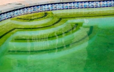 Слизький наліт на стінках і дні басейну